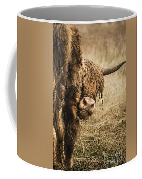 Cow Coffee Mug featuring the photograph Highland Cow Damn Fleas by Linsey Williams