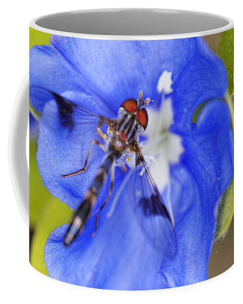 Damselfly Coffee Mug featuring the photograph Damselfly 4 by Jonathan Davison