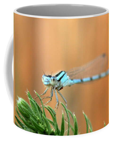 Damselfly Coffee Mug featuring the photograph Damselfly by Shane Bechler