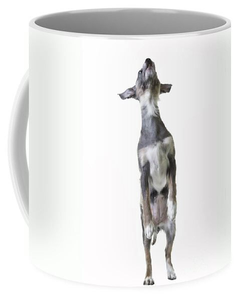 Dog Coffee Mug featuring the photograph Dancing Dog by Edward Fielding