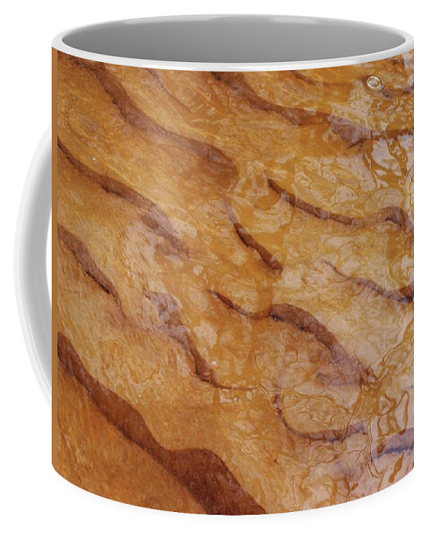 Ripples Coffee Mug featuring the photograph Dancing Reflections over Ripples by Kathi Mirto