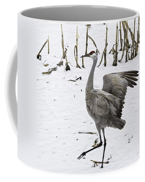 Sandhill Crane Coffee Mug featuring the photograph Dancing Sandhill Crane by Thomas Young