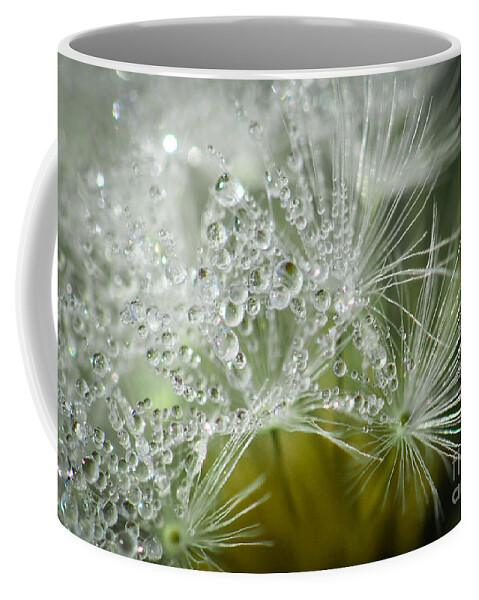 Dandelion Coffee Mug featuring the photograph Dandelion Dew by Amy Porter