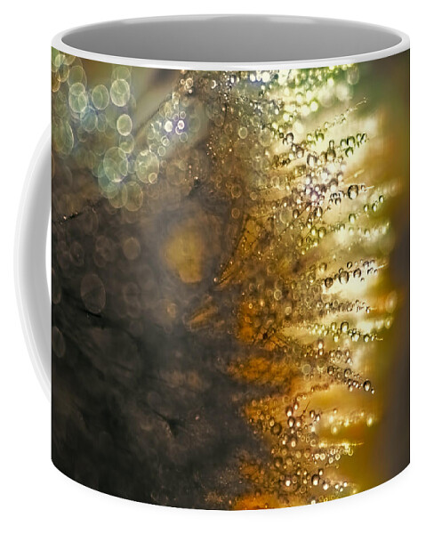 Dandelion Coffee Mug featuring the photograph Dandelion Shine by Peggy Collins