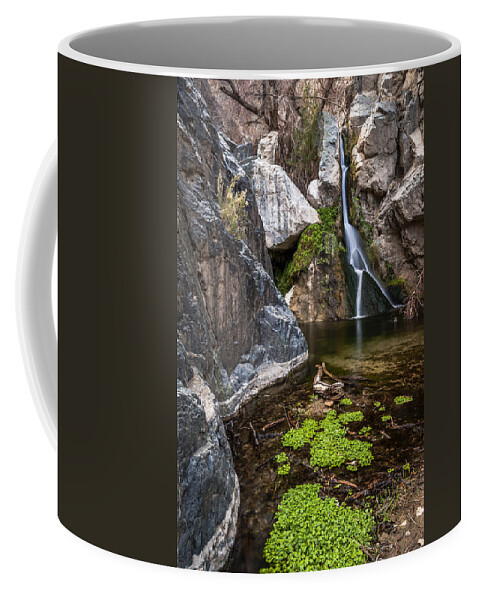 Water Coffee Mug featuring the photograph Darwin Falls by Cat Connor