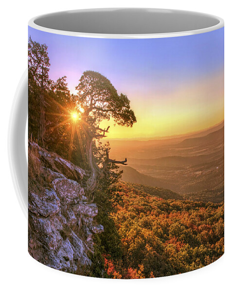 Mt. Magazine Coffee Mug featuring the photograph Daybreak on Mt. Magazine - Arkansas - Cedar Tree - Autumn by Jason Politte