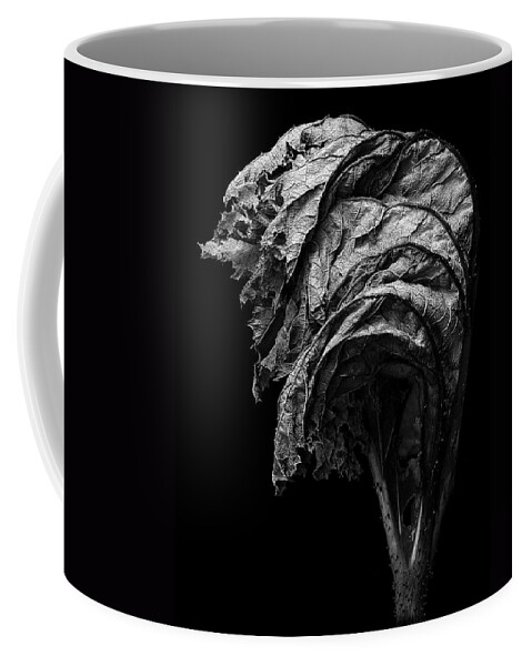 Dead Coffee Mug featuring the photograph Dead by Robert Woodward