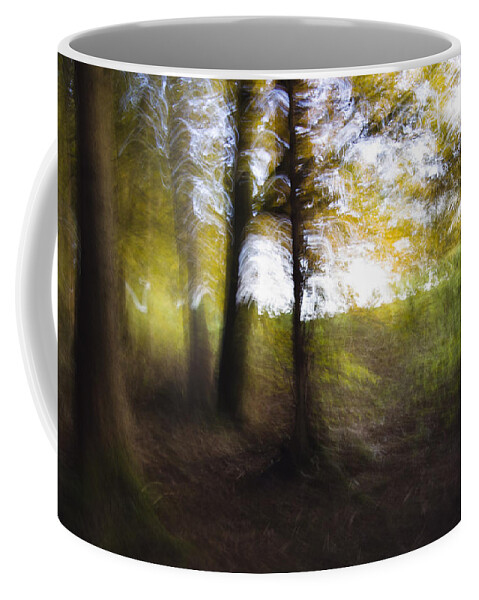 Feb0514 Coffee Mug featuring the photograph Deciduous Forest Bavaria Germany by Konrad Wothe