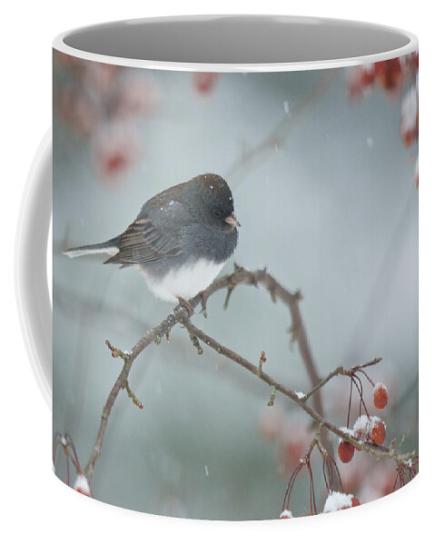 Bird Coffee Mug featuring the photograph Dark-eyed Junco -- Decisions decisions by Kristin Hatt