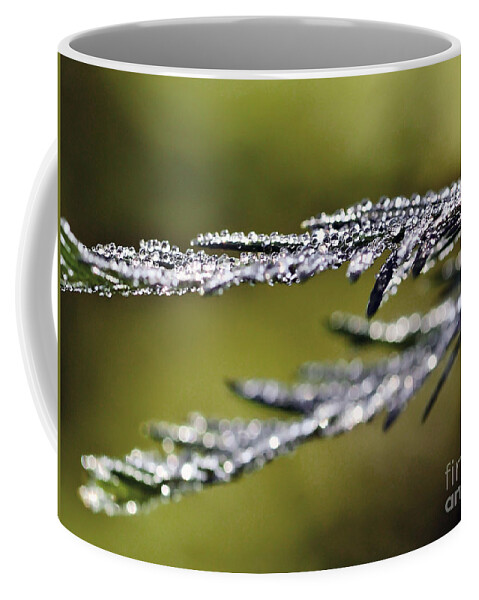 Droplets Coffee Mug featuring the photograph Decorated By Nature by Kerri Farley