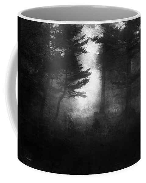 Rabbit Coffee Mug featuring the photograph Deep In The Dark Woods by Theresa Tahara