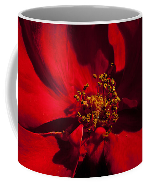 Deep Red Coffee Mug featuring the photograph Deep Red by Tikvah's Hope
