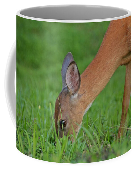 Deer Coffee Mug featuring the photograph Deer 25 by Cassie Marie Photography