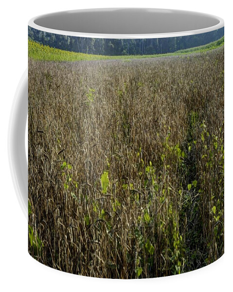 Brandywine Island Coffee Mug featuring the photograph Deer Crops by DArcy Evans