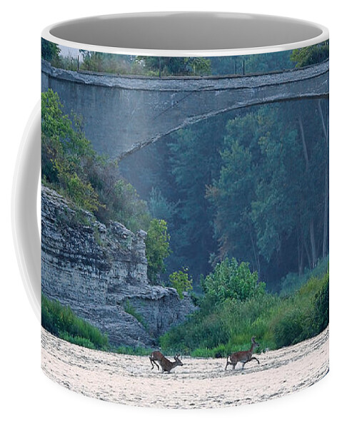 Deer Coffee Mug featuring the photograph Deer Crossing at Roche de Boeuf 5034 by Jack Schultz