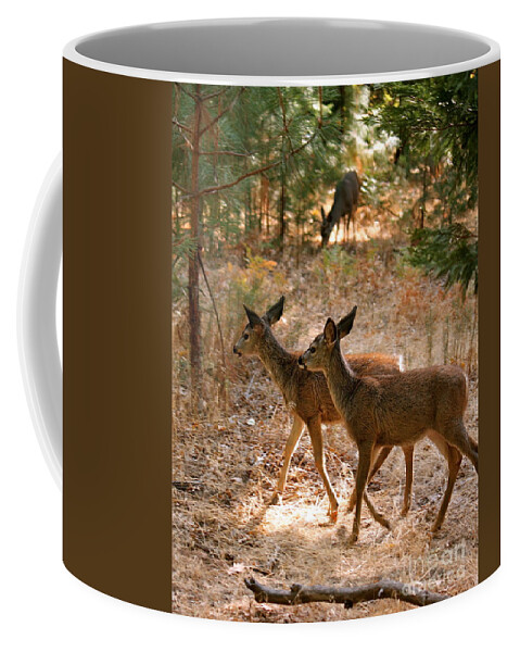 Deer Coffee Mug featuring the photograph Deer in the Forest by Lisa Billingsley