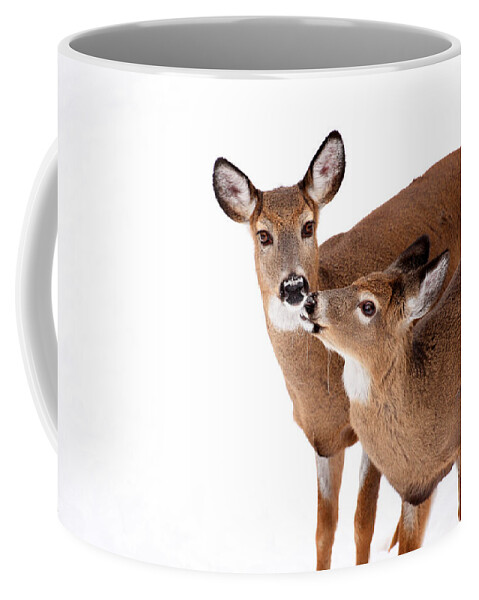 Deer Coffee Mug featuring the photograph Deer Kisses by Karol Livote