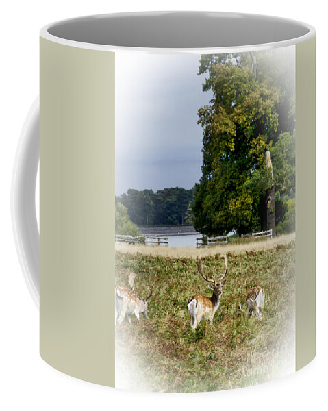 Wildlife Coffee Mug featuring the photograph Deer Park by Linsey Williams