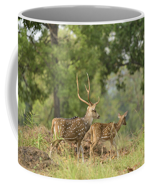 Deer Coffee Mug featuring the photograph Deerscape by Fotosas Photography