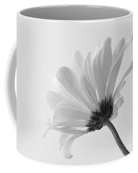 Daisy Coffee Mug featuring the photograph Delicate Daisy by Anita Oakley
