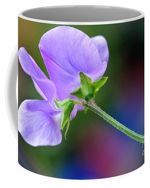 Photography Coffee Mug featuring the photograph Delicate Simplicity by Kaye Menner