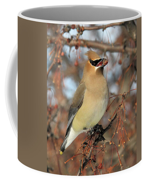Bird Coffee Mug featuring the photograph Delicious by Doris Potter