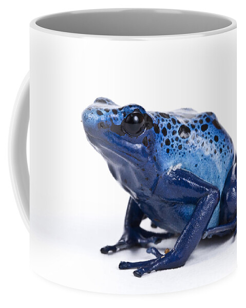 Animal Coffee Mug featuring the photograph Dendrobates Azureus by David Kenny
