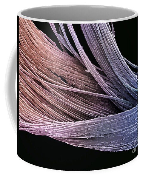 Colored Coffee Mug featuring the photograph Dental Floss SEM by Spl