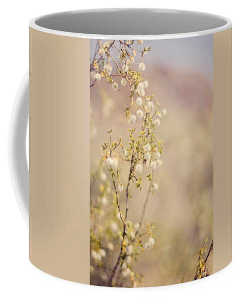 Creosote Coffee Mug featuring the photograph Desert Delicates by Heather Applegate