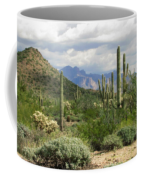 Usery Mountain Regional Park Coffee Mug featuring the photograph Desert Delight Two by Marilyn Smith