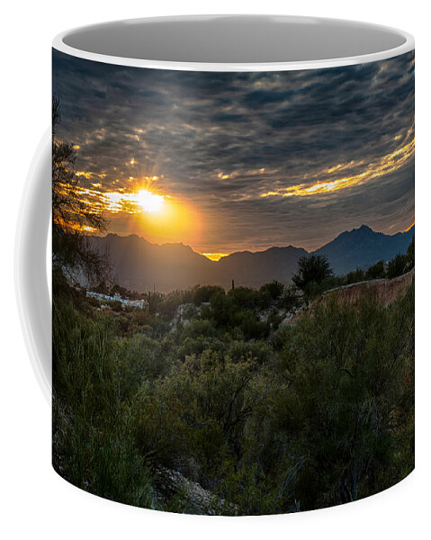 Arizona Coffee Mug featuring the photograph Desert Sunset by Dan McManus