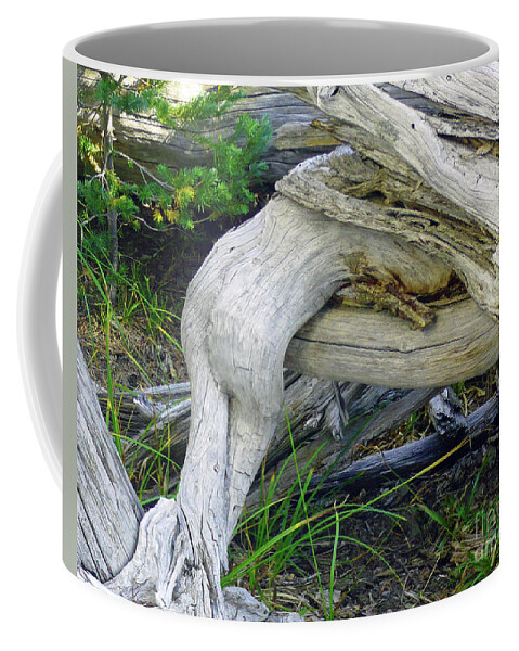 Abstract Coffee Mug featuring the photograph Devoured by Lauren Leigh Hunter Fine Art Photography