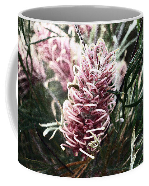 Grevillea Coffee Mug featuring the photograph Dew Covered Grevillea by Cassandra Buckley