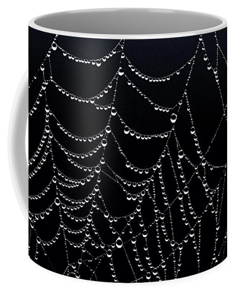 Dew Drops On Web 2 Coffee Mug featuring the photograph Dew Drops on Web 2 by Marty Saccone