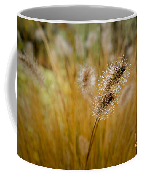 Dew Coffee Mug featuring the photograph Dew on Ornamental Grass No. 4 by Belinda Greb