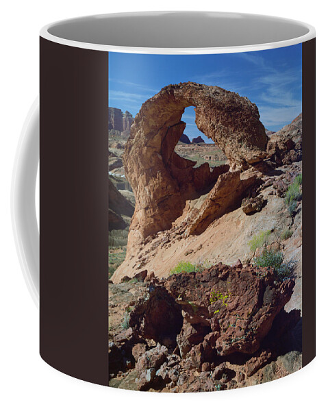 Arizona Coffee Mug featuring the photograph Diagenetic Arch by Tom Daniel