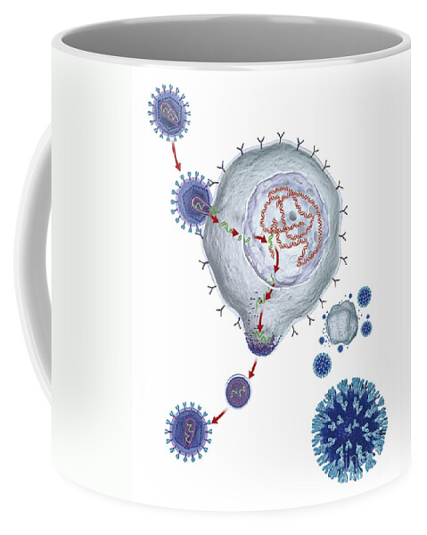 Aids Coffee Mug featuring the photograph Diagram Of Hiv Particles by Raj Dashi / Dorling Kindersley