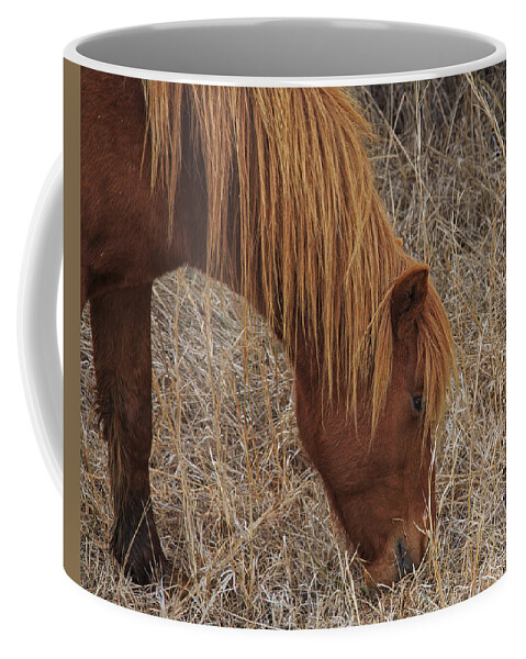 Assateague Coffee Mug featuring the photograph Dinner Time by Allan Levin