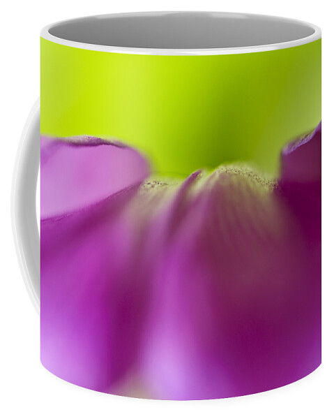 Abstract Coffee Mug featuring the photograph Discovery in Color by Christi Kraft