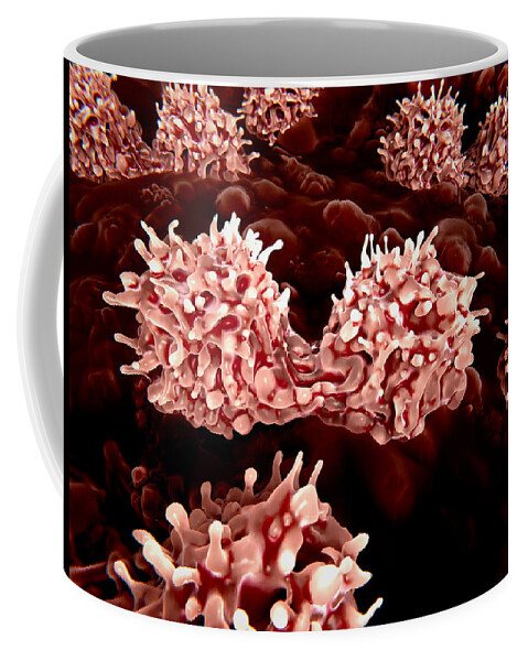 3d Artwork Coffee Mug featuring the photograph Dividing Stem Cells In The Bone Marrow by Juan Gaertner