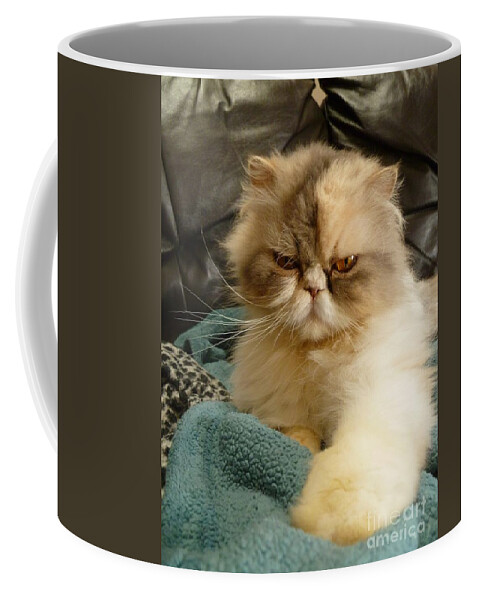 Cat Coffee Mug featuring the photograph Do I Look Amused? by Vicki Spindler