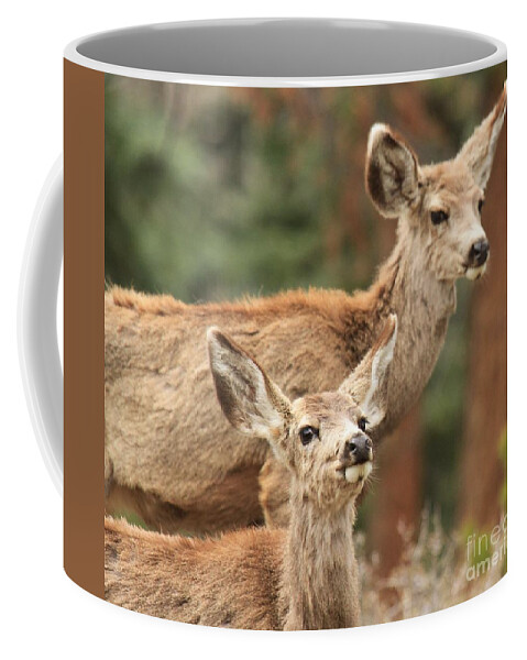 Rocky Mountain National Park Coffee Mug featuring the photograph Don't You Tell Mom by Adam Jewell