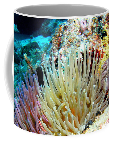 Nature Coffee Mug featuring the photograph Double Giant Anemone and Arrow Crab by Amy McDaniel