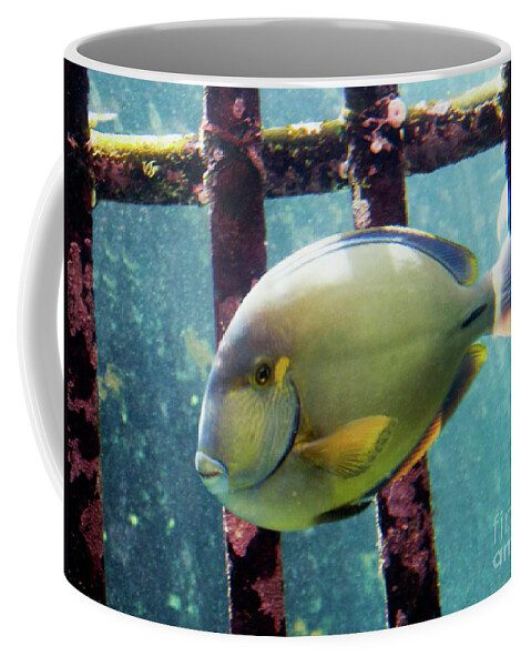 Fine Art Print Coffee Mug featuring the photograph Down at the Shipwreck by Patricia Griffin Brett