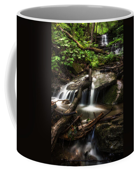Office Decor Coffee Mug featuring the photograph Downstream by Mark Papke