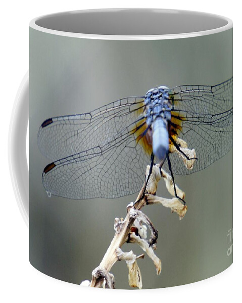 Dragonfly Coffee Mug featuring the photograph Dragonfly Wing Details II by Lilliana Mendez