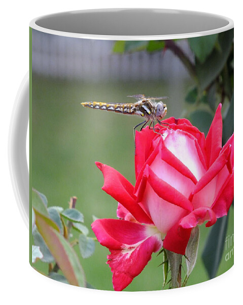 Dragon Fly Coffee Mug featuring the photograph Dragon's Kiss by Yenni Harrison