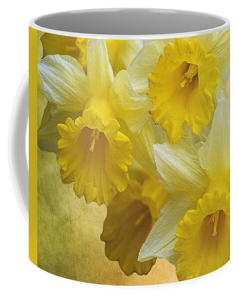 Daffodils Coffee Mug featuring the photograph Dreamy Daffodils by TnBackroadsPhotos 