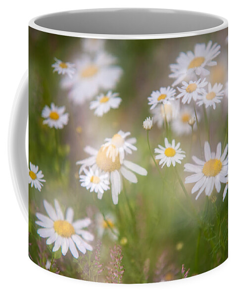 Daisy Coffee Mug featuring the photograph Dreamy Daisies on Summer Meadow by Jenny Rainbow