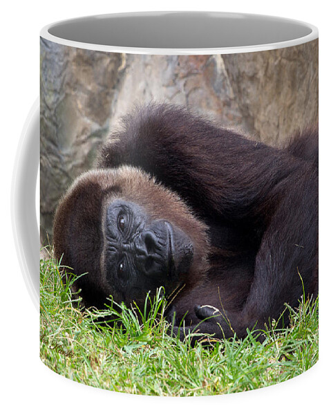 Busch Gardens Coffee Mug featuring the photograph Dreamy Thoughts by Sue Karski